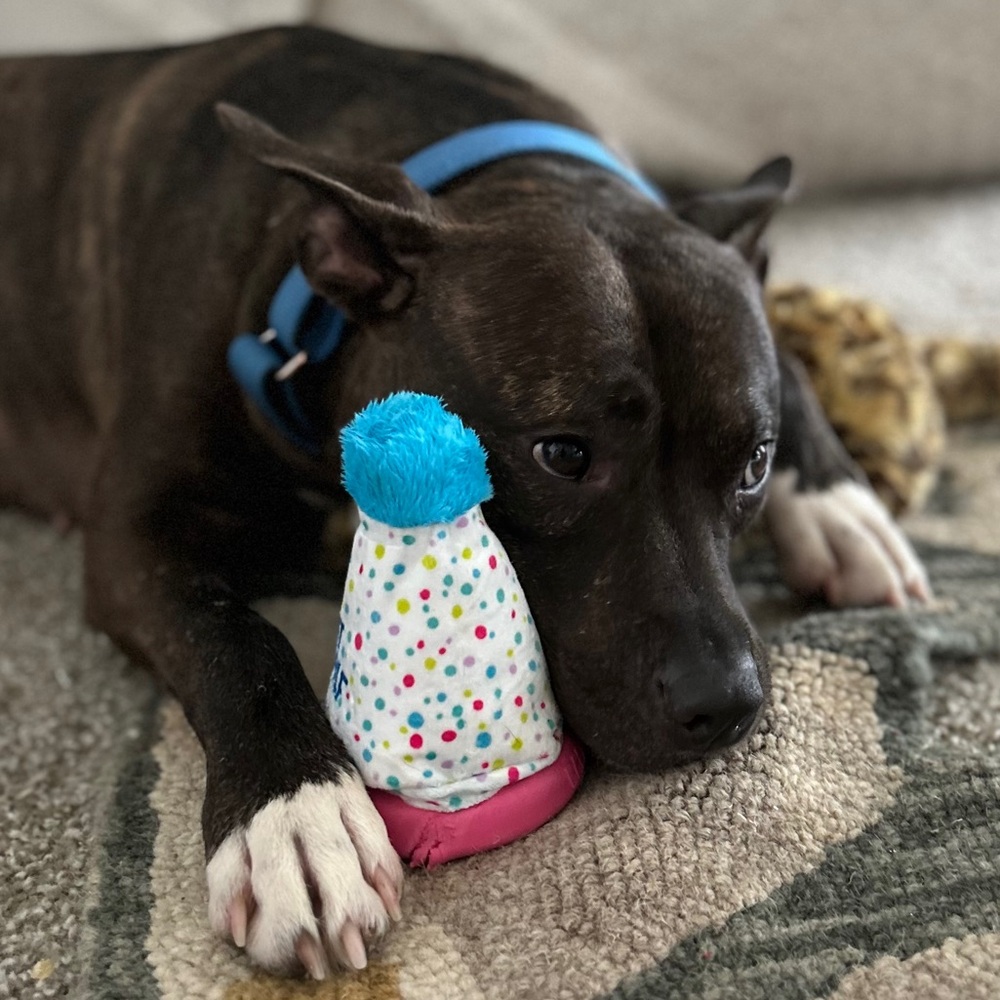 Meet your Posher, Ana - Picture 16 of 16